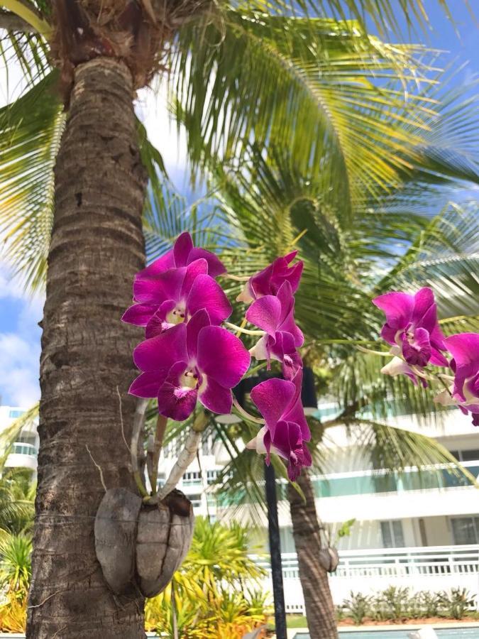 In Mare Bali Residencial Resort Pium de Cima 外观 照片